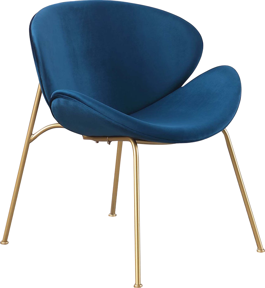 RC01 Set of 2 Velvet Barrel Chairs with Gold Metal Legs