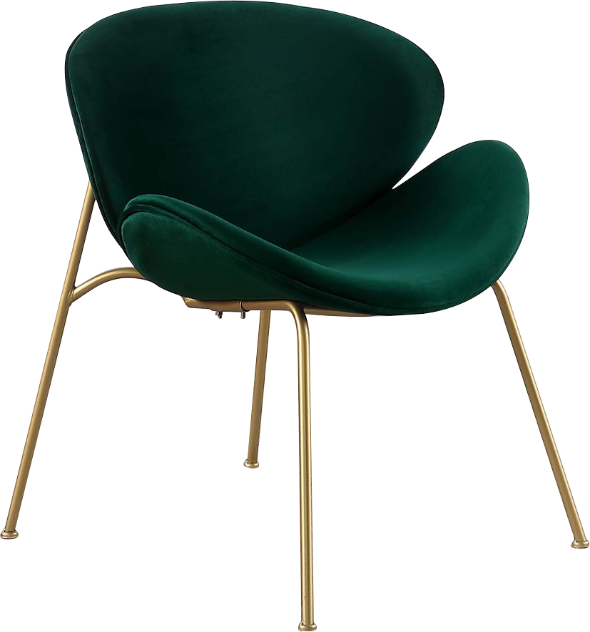 RC01 Set of 2 Velvet Barrel Chairs with Gold Metal Legs