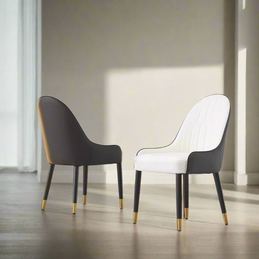 DC80 Set of 2 Modern Dining Chair