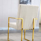 DCK70 Luxurious Dining Chair with Stainless Steel